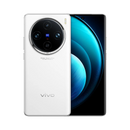Vivo X100 Pro